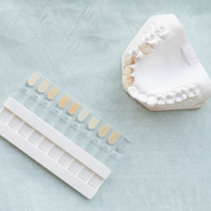 Dental Mold & Shade Guide Flat Lay