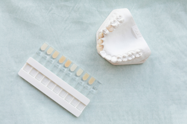 Dental Mold & Shade Guide Flat Lay